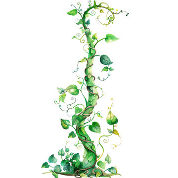 Illustration of a tall, winding beanstalk with lush green leaves, resembling the famous beanstalk from the fairytale 'Jack and the Beanstalk'.