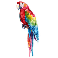 Obraz premium Vibrant watercolor illustration of a colorful parrot perched on a branch, showcasing vivid feathers in rainbow hues.