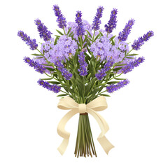 Fototapeta premium Fresh bouquet of lavender tied with a cream-colored ribbon, isolated on a white background, exuding a calming and elegant atmosphere. Ideal for floral arrangements and gifts.