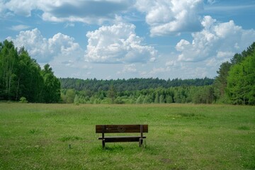 A wooden park bench facing an expansive green landscape under a partly cloudy sky, offering a tranquil and serene view of nature in a peaceful environment.