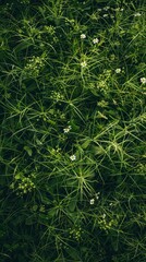 Grass, Background, Floral background image wallpaper -  generative ai