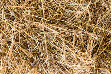 close up rice straw agricultural pattern background