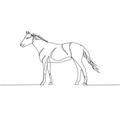 horse, pony, livestock, artiodactyl one line art. Continuous line drawing of farm, nature, agriculture, farm animals, rural life, ranch.