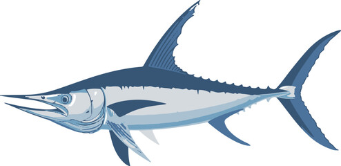 Illustration of a Marlin Fish
