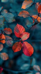 Leaf, Windows wallpaper, Foliage image - generative ai