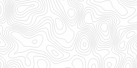 Abstract topography line wave paper curved reliefs background black and white, Background of the topographic line map. Topographic map patterns abstract white topography vector background.