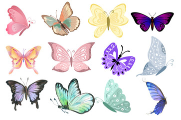 set of butterflies colorful sticker