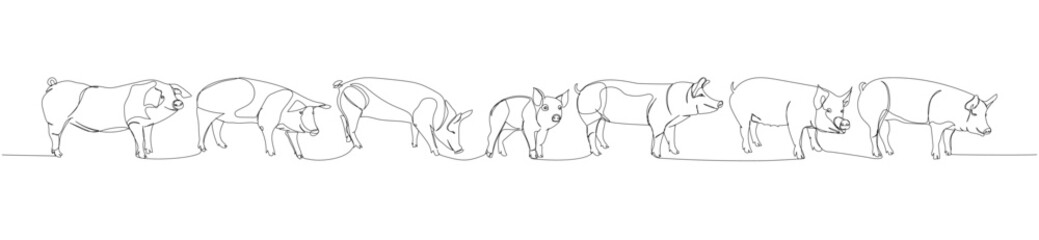 pig set, wild boar, livestock, piglet one line art. Continuous line drawing of farm, nature, agriculture, farm animals, rural life, ranch.