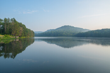 Morning sunrise woodland landscape fog, copy space selective focus natural background