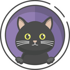 Cat Black