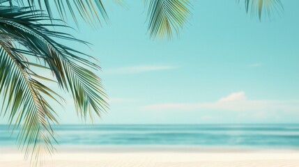 Fototapeta premium Palm tree leaf and blue sea