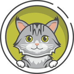 Cat Mainecoon Grey