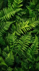 Fern, Free wallpaper, Desktop backgrounds image - generative ai