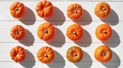 A collection of bright orange pumpkins are arranged in a grid pattern on a white wooden surface. The pumpkins are illuminated by natural light, casting shadows on the surface