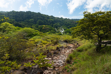 Naklejka premium smoky rainforest in the Rincon de la Vieja national park in Costa Rica