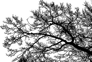 Dash and dot messy on transparent background