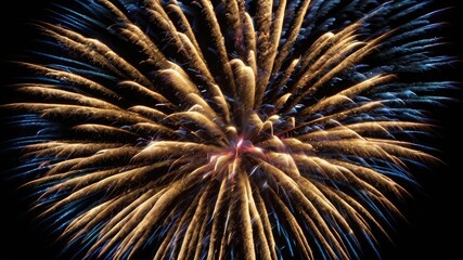 Naklejka premium fireworks in the sky