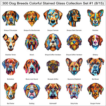 Colorful Dog Breeds Stained Glass Cute Dogs Bundle Collection Set #1 of 300 Dog Faces Part 8
