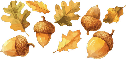 acorn watercolor clipart  © dian's