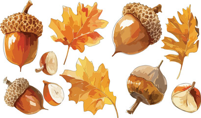 acorn watercolor clipart  © dian's