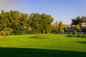 view of the city park during daytime, trees and grass view