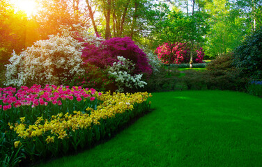 Obraz premium Spring flower park in the sunlight