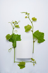 A bottle of wine made of grape leaves vine branch  isolated on white background, clipping path included. Top view, flat lay. Space for text. Mock up.