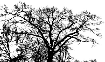 Dash and dot messy on transparent background