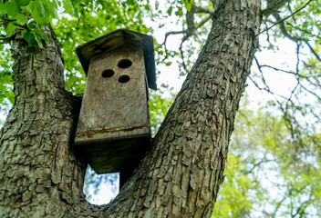 An old wooden birdhouse on a tree in the forest.