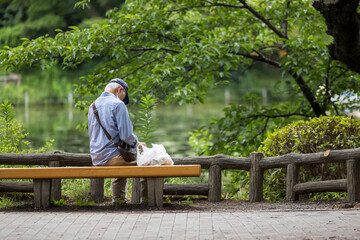 一人で公園のベンチに座る孤独な高齢男性のイメージ