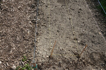 Préparation du potager avec cordeau pour les semis
