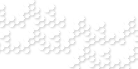 Abstract background with hexagon, modern abstract vector polygonal pattern. Futuristic abstract honeycomb technology white background. Luxury white hexagon pattern.
