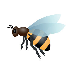 Honey bee. Color vector illustration. Isolated on white background.