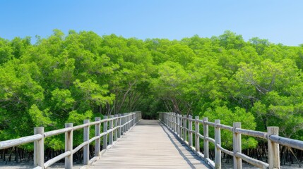 A wooden walkway with railings extends through a vibrant green mangrove forest on a bright, sunny day