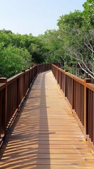 Obraz premium A wooden walkway with railings extends through a vibrant green mangrove forest on a bright, sunny day
