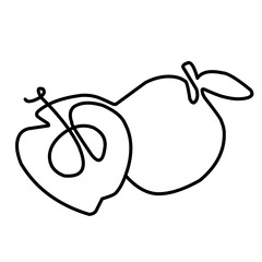 Abstract outline cut apple with leaf vector. Line continuous hand drawn illustration. Garden fruit icon, linear silhouette. Minimal design, print, banner, card, brochure, logo, menu.