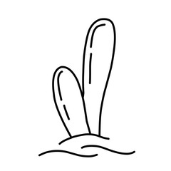 Hand drawn cactus illustration. Vector Illustration. Isolated on white background. cactus outline sketch. cactus drawing. cactus plants line art background.