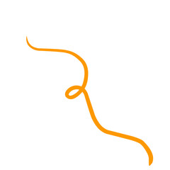 Fourish swirl calligraphy ornament elements. Curl elegant vintage simple design elements. Vector illustration.	