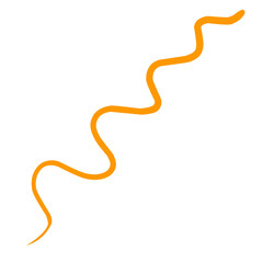 Fourish swirl calligraphy ornament elements. Curl elegant vintage simple design elements. Vector illustration.	