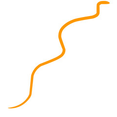 Fourish swirl calligraphy ornament elements. Curl elegant vintage simple design elements. Vector illustration.	