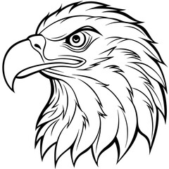 Eagle head vector illustration  