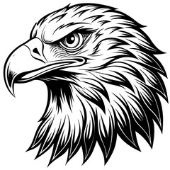 Eagle head vector illustration  