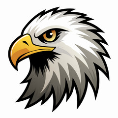 Eagle head vector illustration  