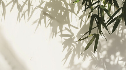 Bamboo leaves on minimal wall background