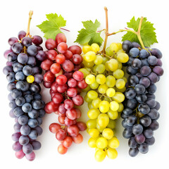 4 kind red and green grapes