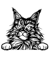 Wildcat SVG, Cat Breed SVG, Kitten SVG, Pet SVG, Cat lover SVG, Pet SVG, Wildcat Silhouette, Wildcat Vector, Clipart, Cut file for Cricut SVG, JPG, PNG