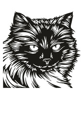 Fototapeta premium Himalayan cat SVG, Cat Breed SVG, Kitten SVG, Pet SVG, Cat lover SVG, Pet SVG, Himalayan cat Silhouette, Himalayan cat Vector, Clipart, Cut file for Cricut SVG, JPG, PNG