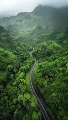 Asphalt road winding between the green hills of beautiful rain forest area captured from the air