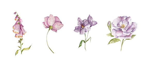 Set of Purple Lilac Flowers. Light Delicate Roses, Bluebell, Forget-me-nots, Abstract. Watercolor Botanic Illustration. Decorative Elements for Cards, Invitations, Textiles, Stationery, Clothing