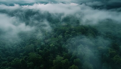 Green hills of beautiful rain forest area captured from the air